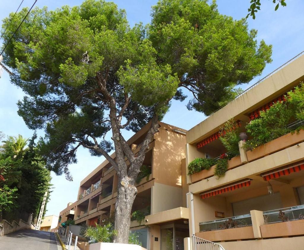 Studio Bandol Centre 2 Etoiles Ideal Emplacement Zewnętrze zdjęcie