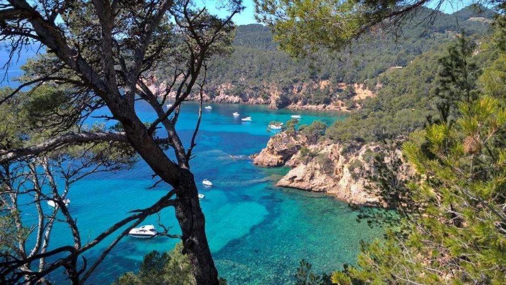 Studio Bandol Centre 2 Etoiles Ideal Emplacement Zewnętrze zdjęcie